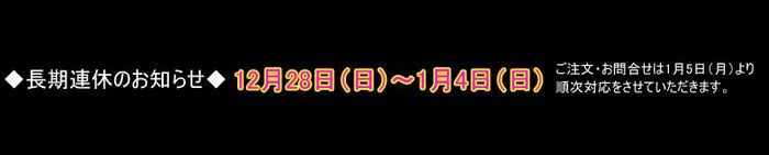 2014年冬季長期連休